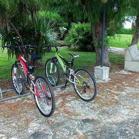 Tenuta Don Monaco - Agriturismo Santa Cesarea Terme Ngoại thất bức ảnh
